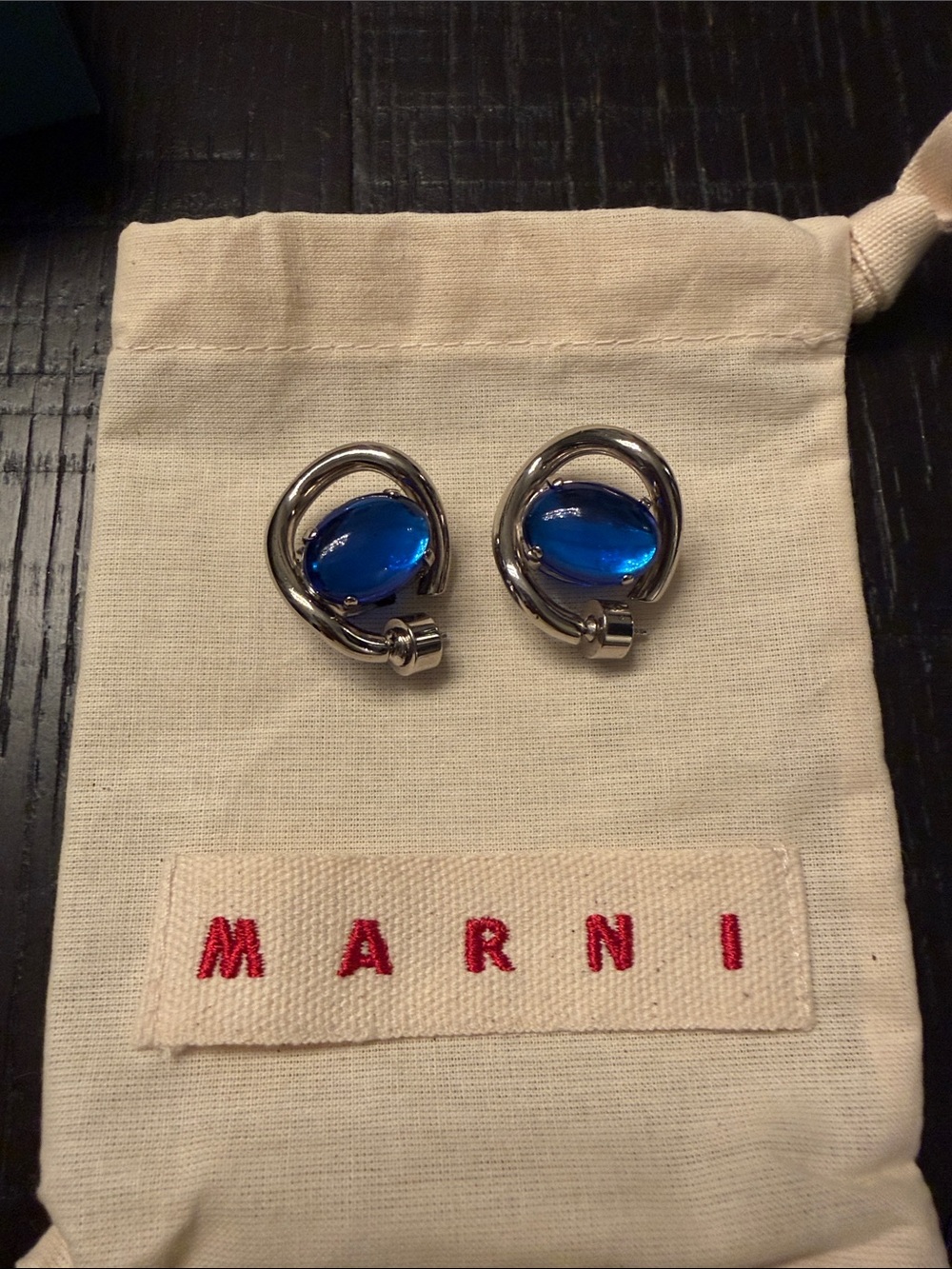 Marni Silver Tone and Blue Earings